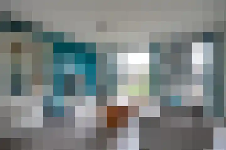 Does 41 De Meern thumbnail 9