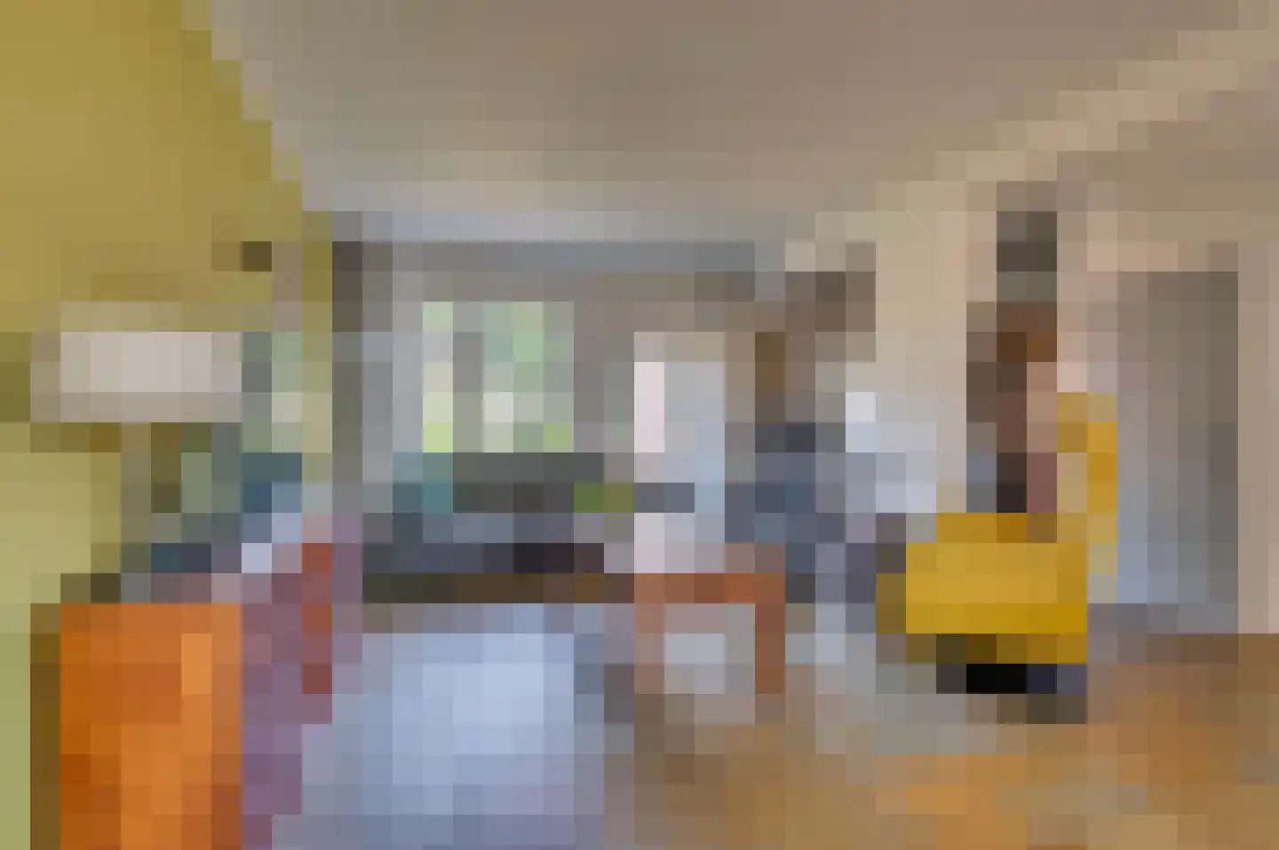 Doesborgweg 44 Venlo thumbnail 10