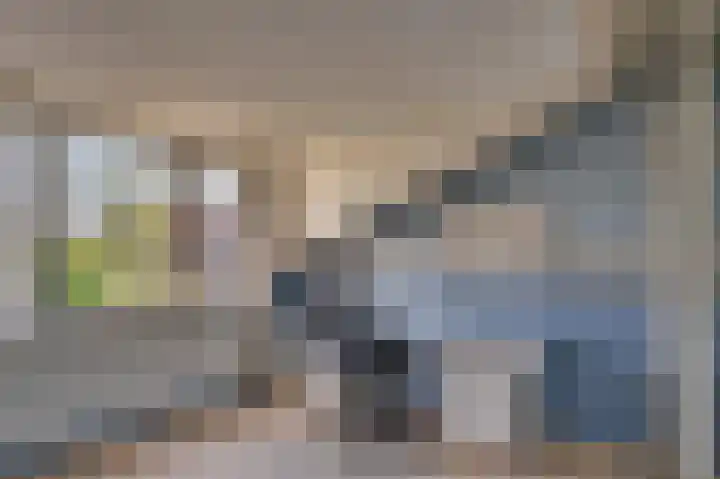 Doesborgweg 44 Venlo thumbnail 32