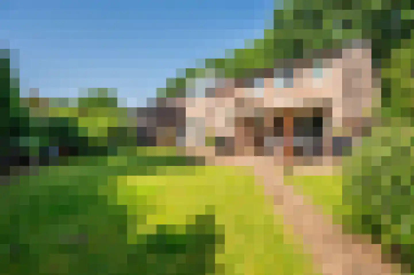Doesborgweg 44 Venlo thumbnail 36