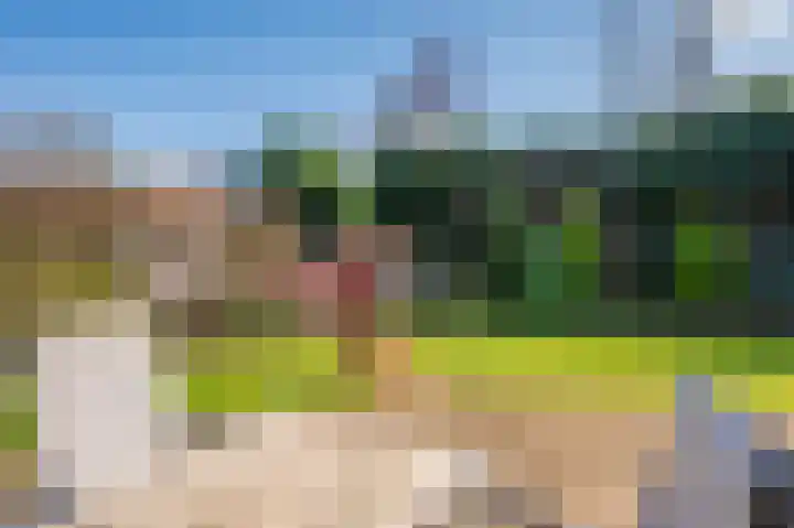 Doesborgweg 44 Venlo thumbnail 38
