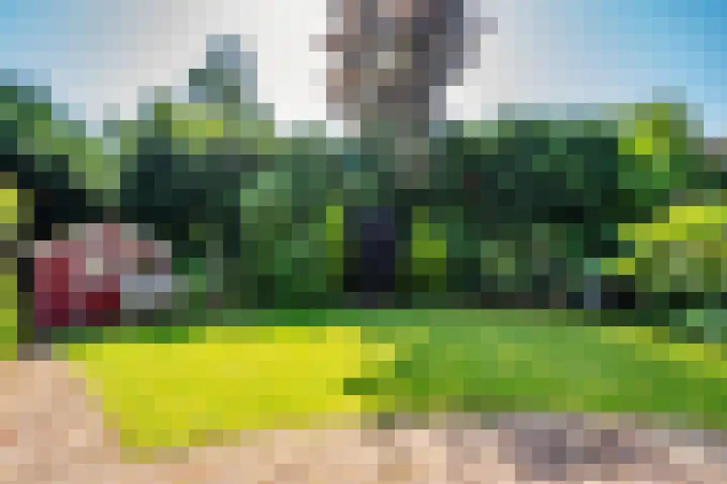 Doesborgweg 44 Venlo thumbnail 40