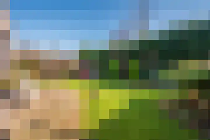Doesborgweg 44 Venlo thumbnail 40