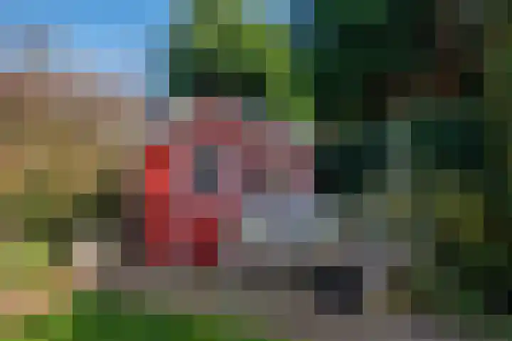 Doesborgweg 44 Venlo thumbnail 41