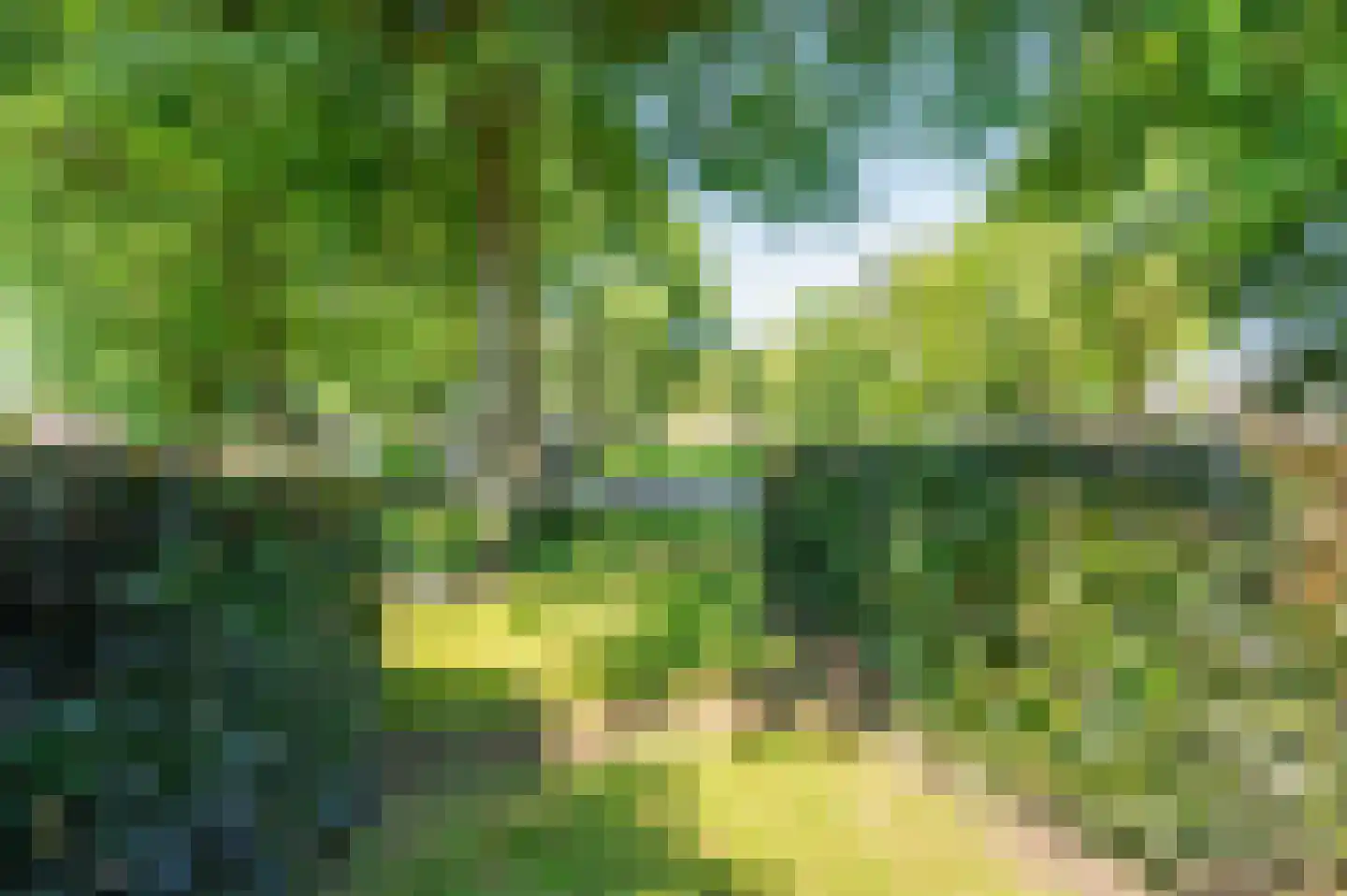 Doesborgweg 44 Venlo thumbnail 42