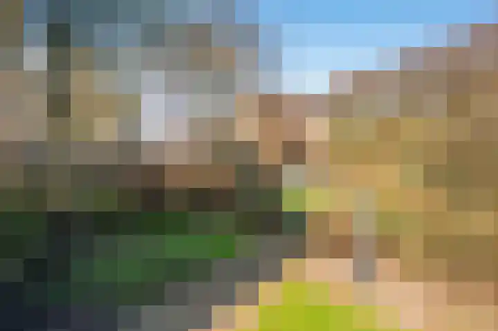 Doesborgweg 44 Venlo thumbnail 42