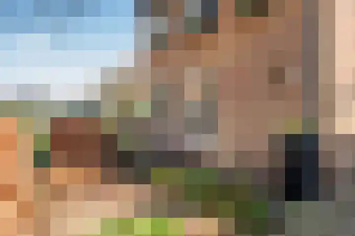 Doesborgweg 44 Venlo thumbnail 43