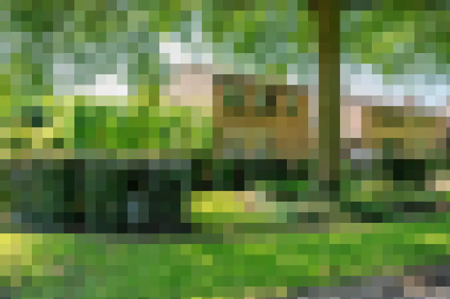 Doesborgweg 44 Venlo thumbnail 43