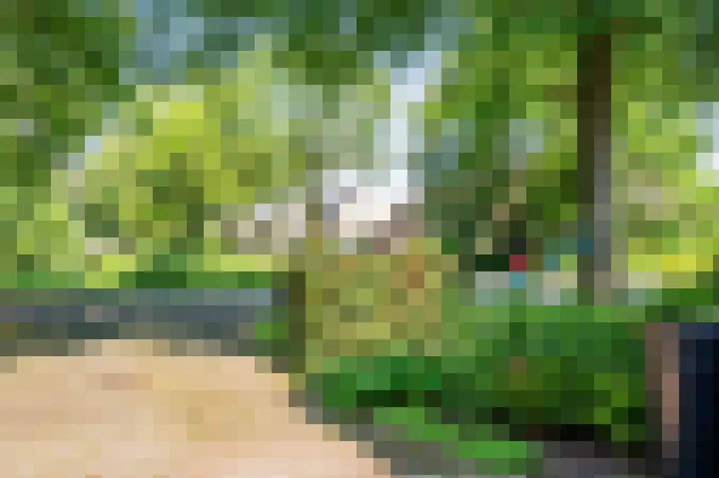 Doesborgweg 44 Venlo thumbnail 45