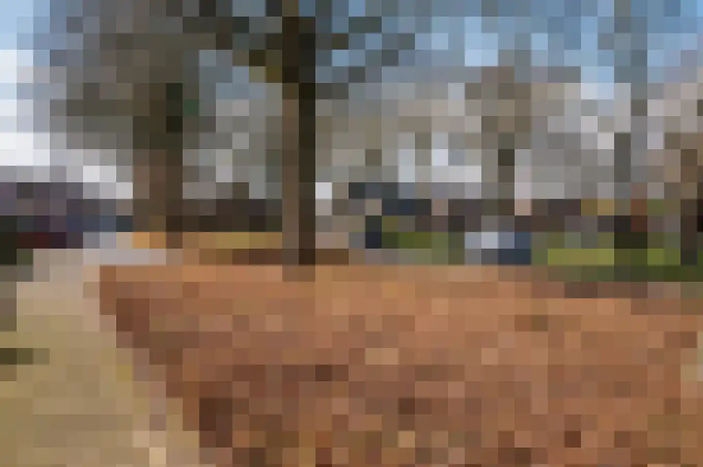 Doesborgweg 44 Venlo thumbnail 45