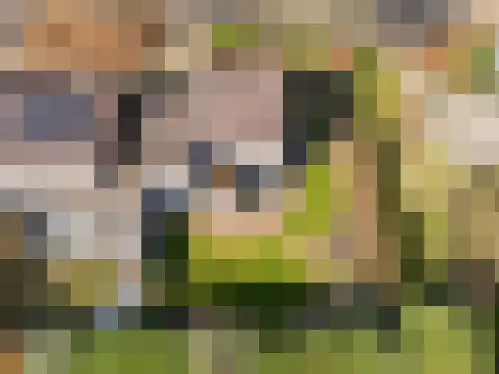 Doesborgweg 44 Venlo thumbnail 50