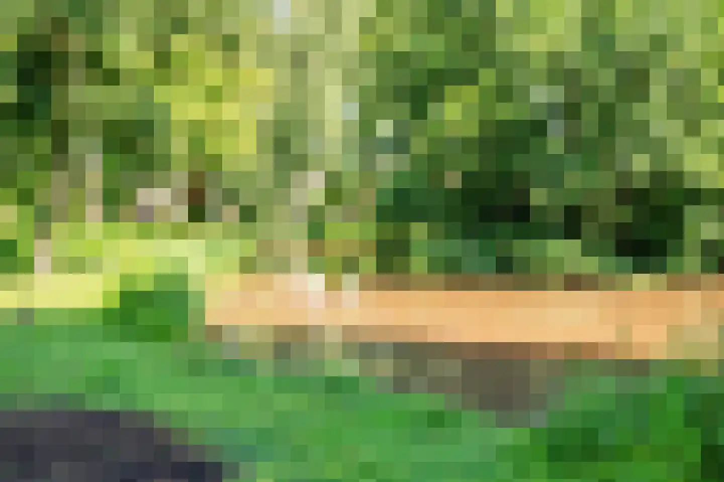 Doesborgweg 44 Venlo thumbnail 51