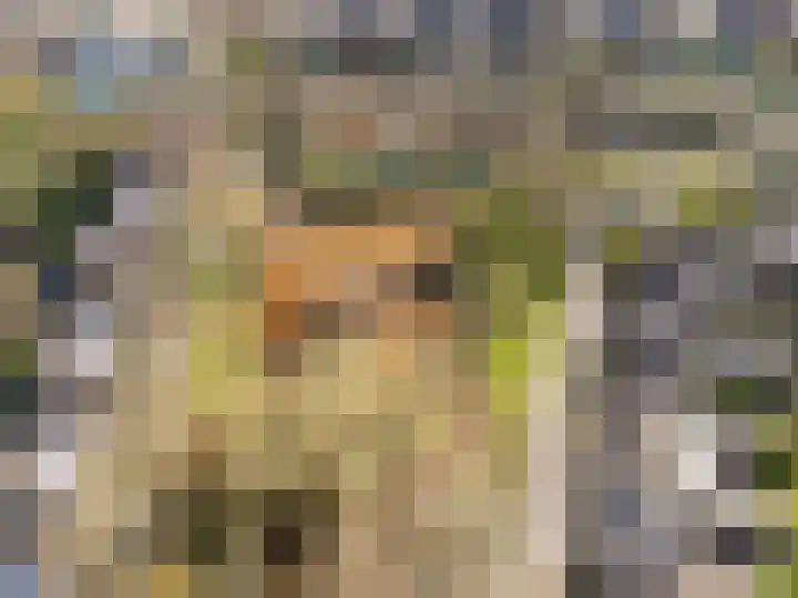 Doesborgweg 44 Venlo thumbnail 52