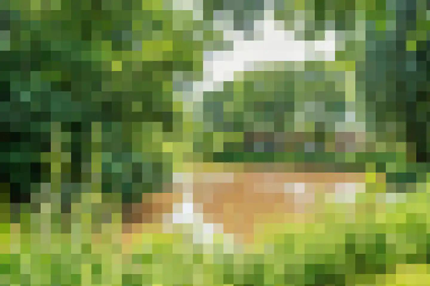 Doesborgweg 44 Venlo thumbnail 53