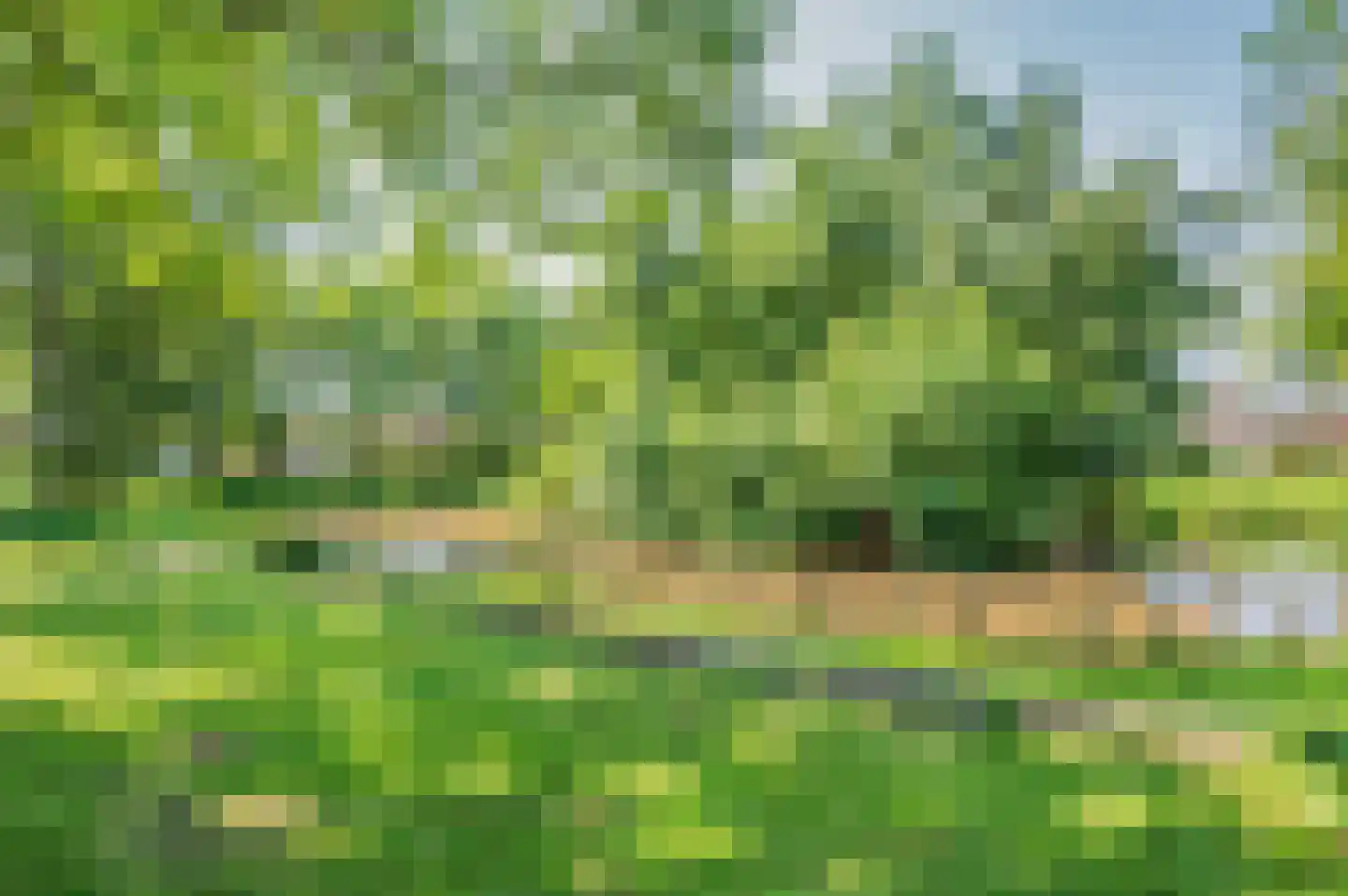 Doesborgweg 44 Venlo thumbnail 55