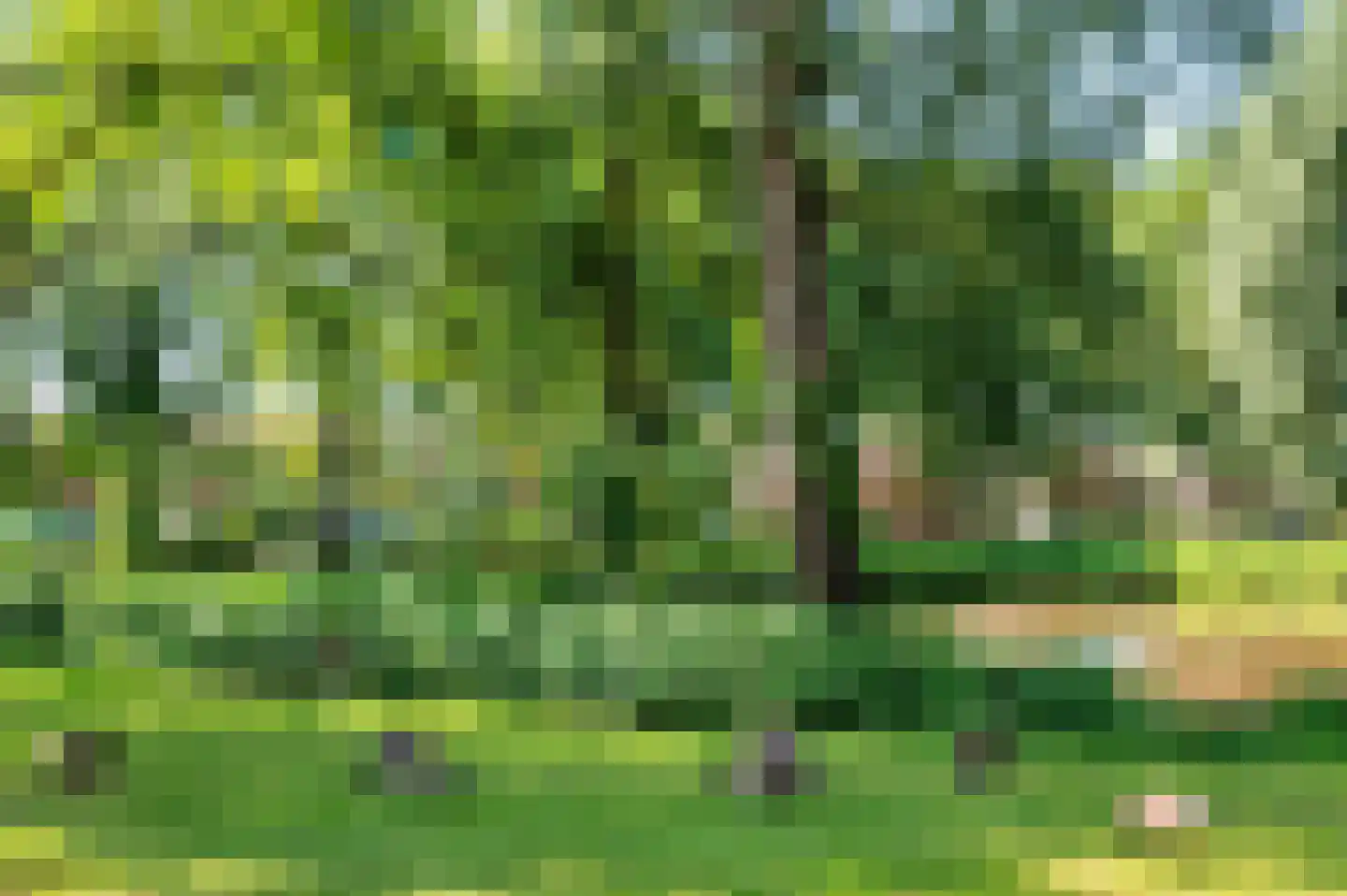 Doesborgweg 44 Venlo thumbnail 56