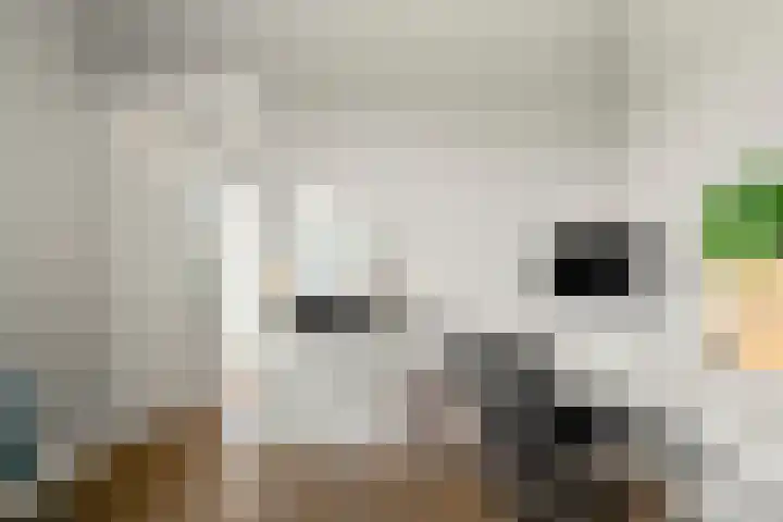 Doesburgerdijk 25 Ede thumbnail 12