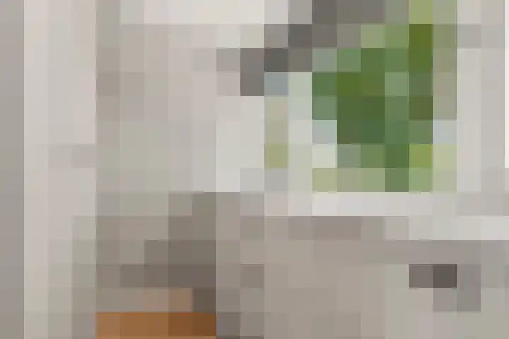 Doesburgerdijk 25 Ede thumbnail 28