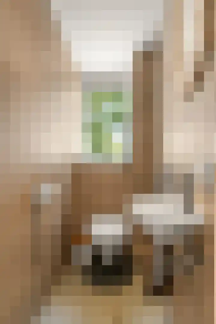 Doesburgerdijk 25 Ede thumbnail 33