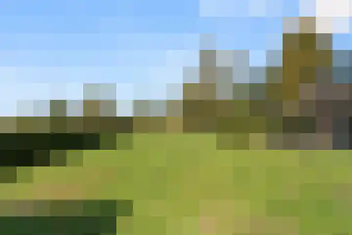 Doesburgerdijk 25 Ede thumbnail 41
