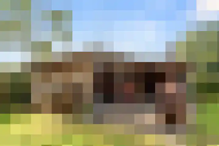 Doesburgerdijk 25 Ede thumbnail 42
