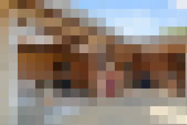 Doesburgerdijk 25 Ede thumbnail 43