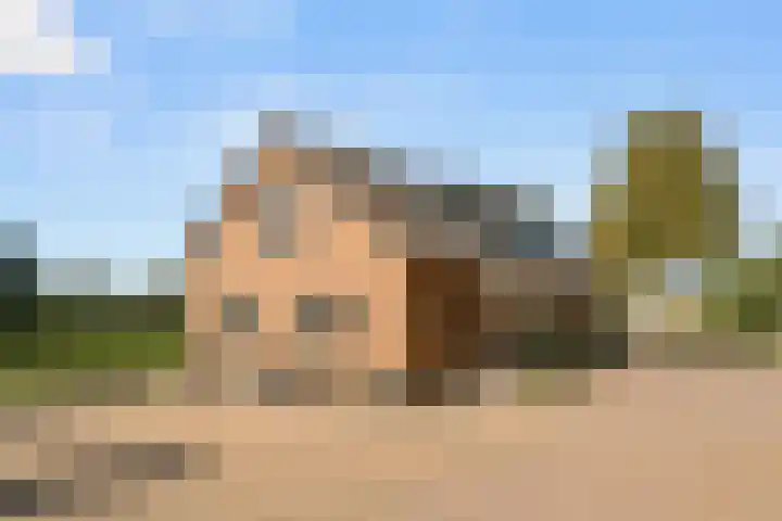 Doesburgerdijk 25 Ede thumbnail 50