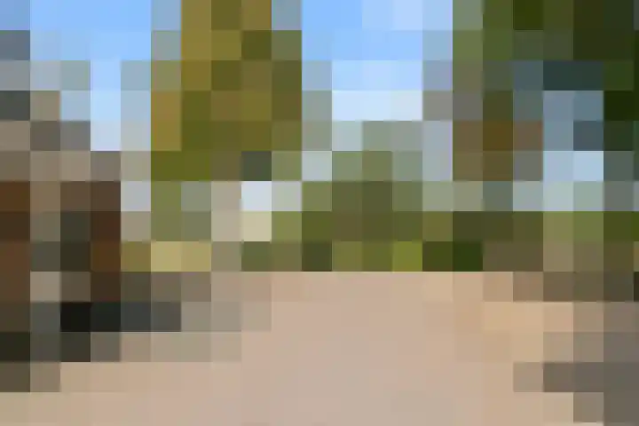 Doesburgerdijk 25 Ede thumbnail 51