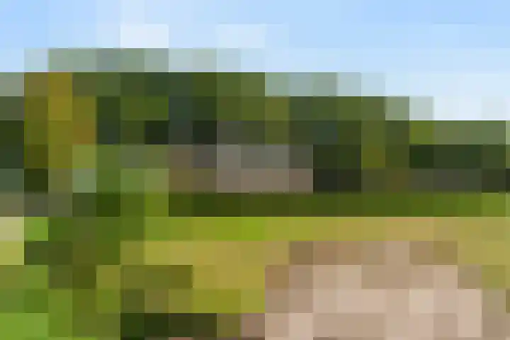 Doesburgerdijk 25 Ede thumbnail 52