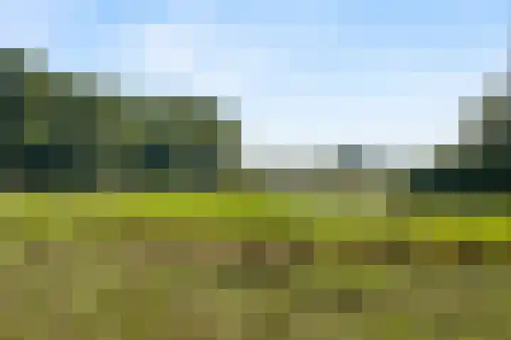 Doesburgerdijk 25 Ede thumbnail 53