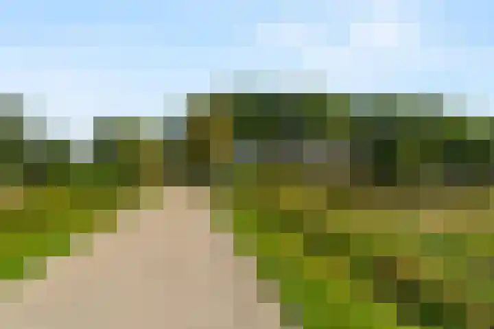 Doesburgerdijk 25 Ede thumbnail 55