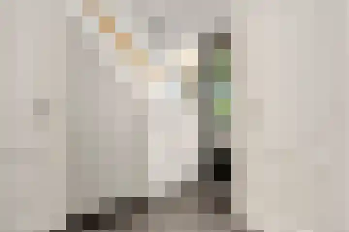 Doesburgerdijk 25 Ede thumbnail 6