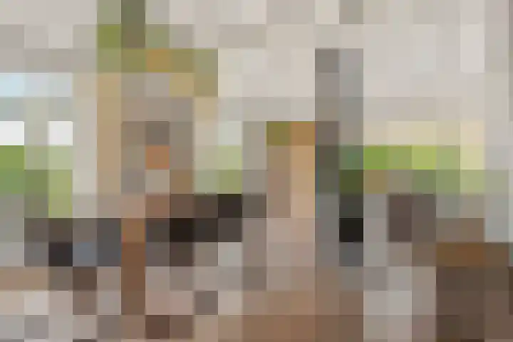 Doesburgerdijk 25 Ede thumbnail 7