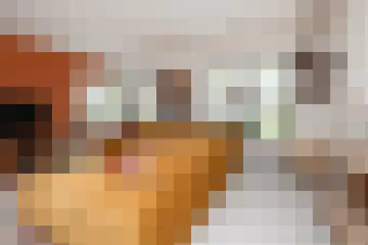 Doesburgerpad 22 Berkel en Rodenrijs thumbnail 12