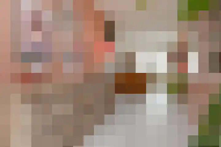 Doesburgerpad 22 Berkel en Rodenrijs thumbnail 17