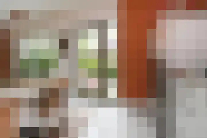 Doesburgerpad 22 Berkel en Rodenrijs thumbnail 20