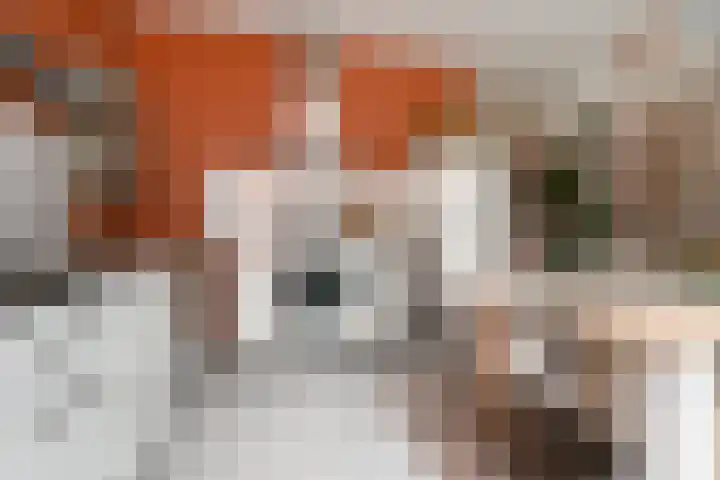 Doesburgerpad 22 Berkel en Rodenrijs thumbnail 21