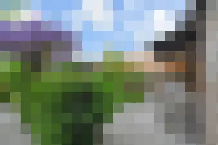 Doesburgerpad 22 Berkel en Rodenrijs thumbnail 24