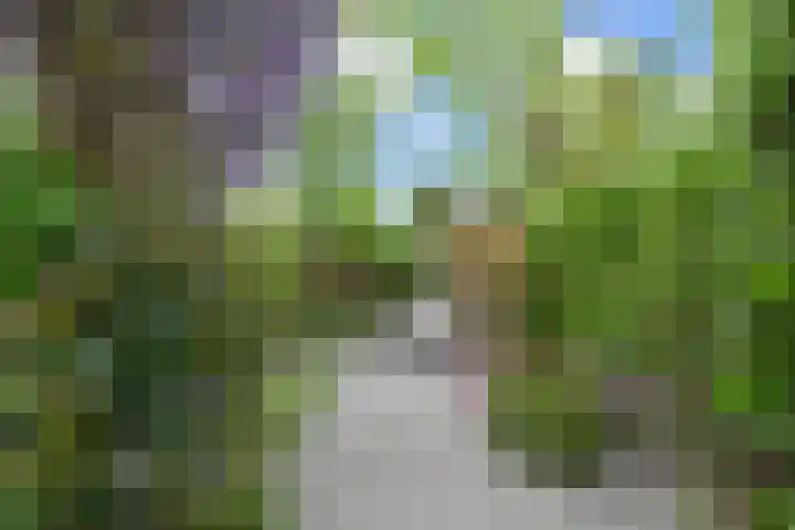 Doesburgerpad 22 Berkel en Rodenrijs thumbnail 26
