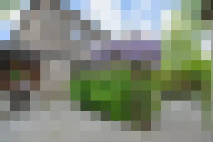Doesburgerpad 22 Berkel en Rodenrijs thumbnail 28