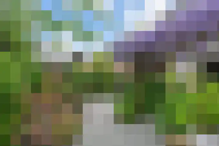 Doesburgerpad 22 Berkel en Rodenrijs thumbnail 29