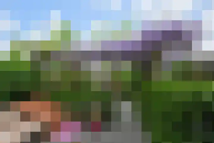 Doesburgerpad 22 Berkel en Rodenrijs thumbnail 32