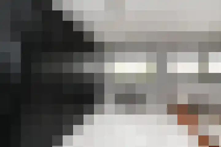 Doesburgerpad 22 Berkel en Rodenrijs thumbnail 34