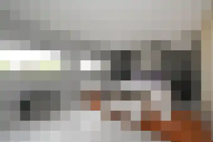 Doesburgerpad 22 Berkel en Rodenrijs thumbnail 35