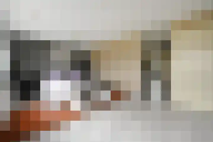 Doesburgerpad 22 Berkel en Rodenrijs thumbnail 37