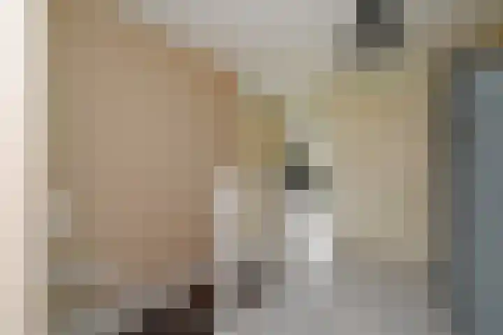 Doesburgerpad 22 Berkel en Rodenrijs thumbnail 38