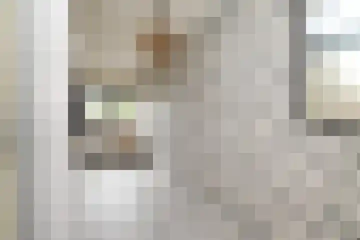 Doesburgerpad 22 Berkel en Rodenrijs thumbnail 39
