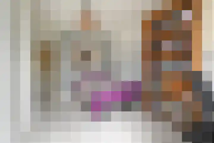 Doesburgerpad 22 Berkel en Rodenrijs thumbnail 41