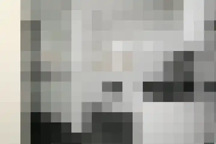 Doesburgerpad 22 Berkel en Rodenrijs thumbnail 42