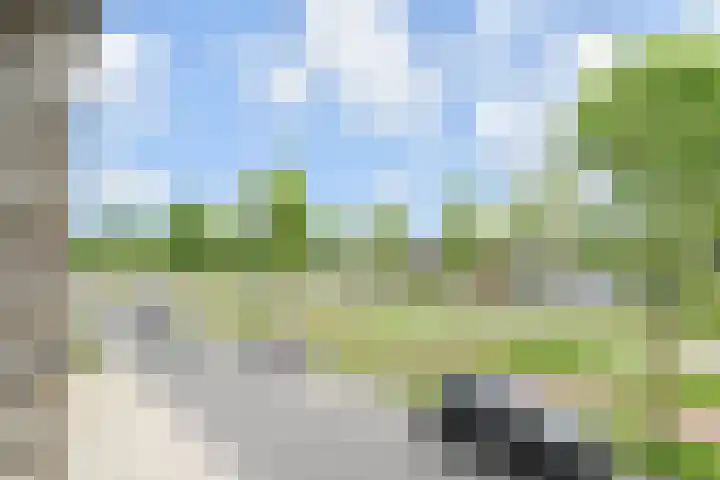 Doesburgerpad 22 Berkel en Rodenrijs thumbnail 49